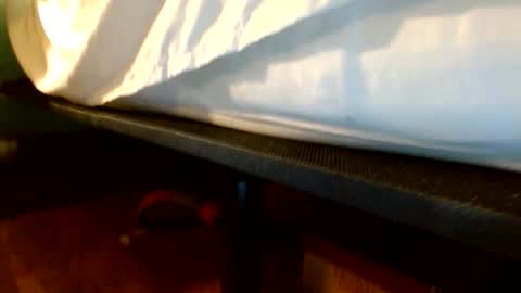 Brodie Lambert online show from March 17, 3:20 am