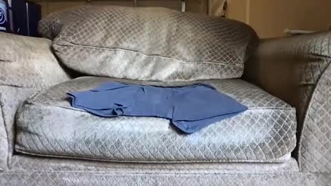 1nicemember77777 online show from September 25, 11:46 pm