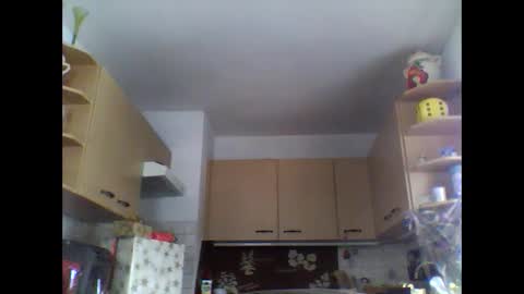 20x5cmgermanlongdong online show from December 24, 8:44 am