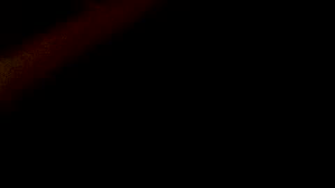 2freaky954 online show from November 7, 10:07 am