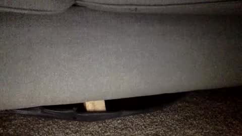 30nick online show from February 25, 5:52 am