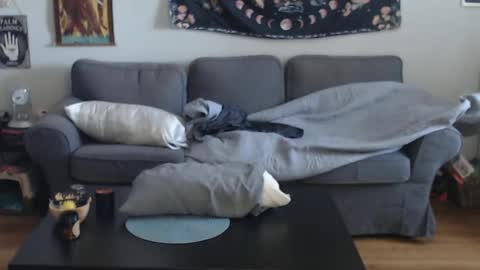 Anomander Rake online show from March 13, 1:08 pm