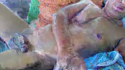 Daddy online show from November 17, 10:57 pm