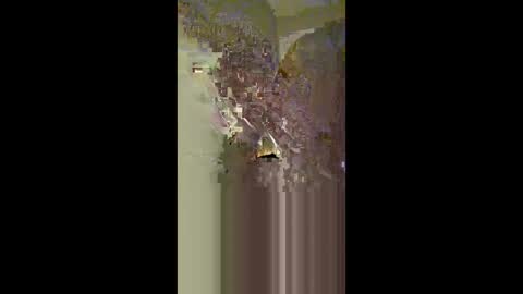 Zeus online show from February 22, 3:41 am