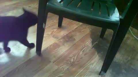 69forever453443 online show from September 15, 1:12 pm