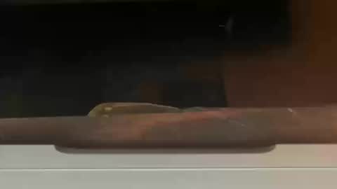 FUCKR online show from October 14, 9:05 am