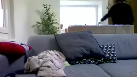 Num online show from October 18, 8:41 am