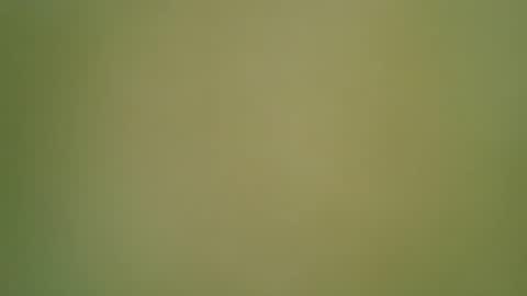 SINN3R online show from September 13, 6:42 pm