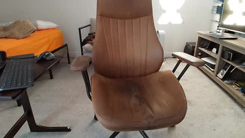 _black_lotus online show from February 2, 3:17 pm