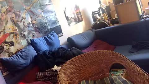 Sven online show from October 6, 11:48 am