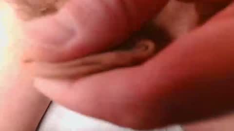 aberardo online show from March 28, 1:44 pm