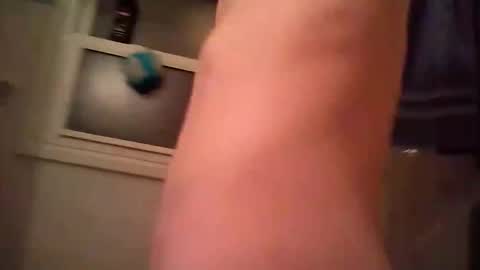 adamllamas online show from November 29, 11:29 pm