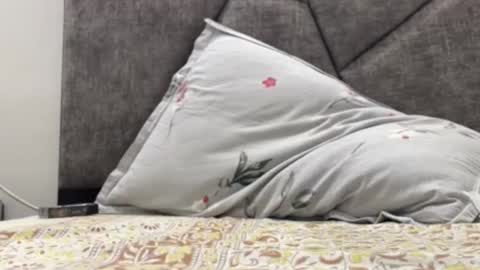 akshat_high online show from February 21, 6:18 am