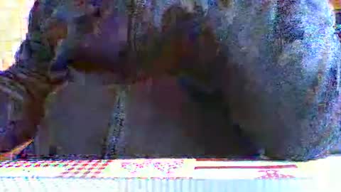 albert29 online show from October 7, 7:56 am