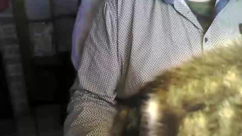 alexhot1964 online show from May 5, 9:11 am