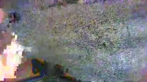 Alex online show from September 29, 1:30 pm