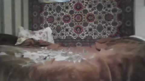 alferezsolvajo online show from March 29, 6:52 pm