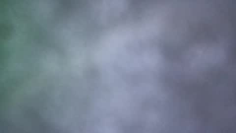 all_most_sane online show from May 18, 4:00 pm