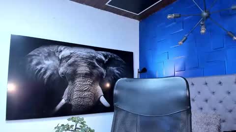 insta andres clark  online show from November 24, 6:20 pm