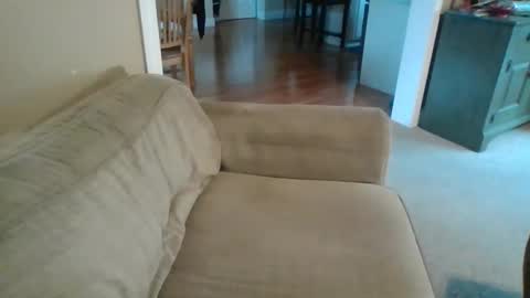 Bill M. online show from November 28, 8:55 pm