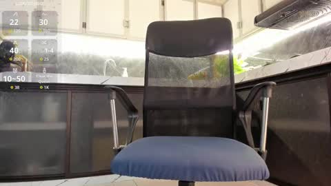 Juan Camilo online show from December 5, 1:56 am