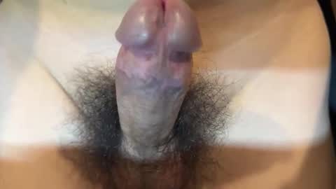 apple2761 online show from November 12, 9:19 pm