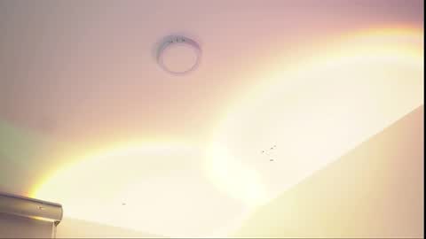 insta appolo master online show from November 23, 6:02 am