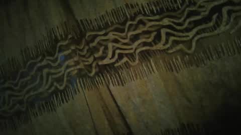 olo online show from November 24, 4:35 am