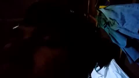 arvy95198 online show from October 12, 11:21 pm