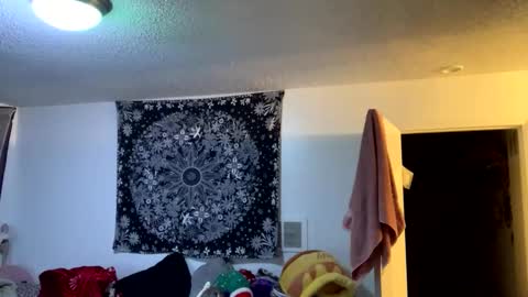 AAP online show from March 1, 2:59 am