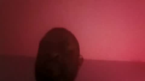 assetr69aldy online show from April 19, 6:46 am