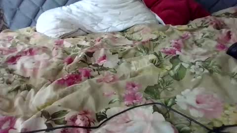 Sissy online show from November 5, 8:49 am