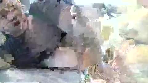 averagejoe2025 online show from October 30, 12:24 am