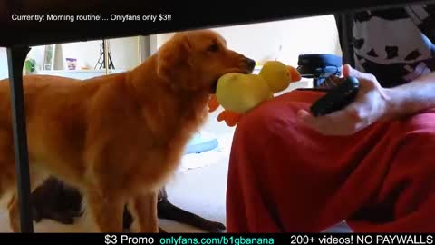 b1gbanana online show from December 12, 6:10 pm