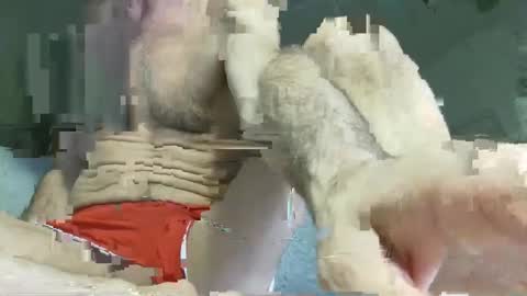 Poindexxxter online show from March 3, 3:14 pm