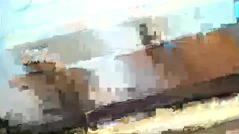 Poindexxxter online show from January 20, 10:15 pm