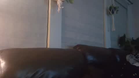 bake42069dick online show from September 11, 5:28 am