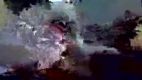 ballshanginglowaf online show from March 29, 1:55 pm