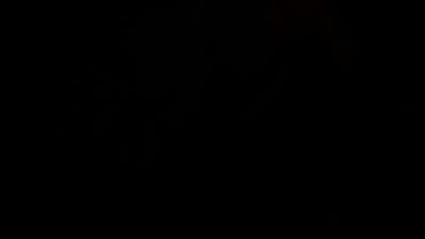 bambi_sweetie online show from April 4, 6:54 am