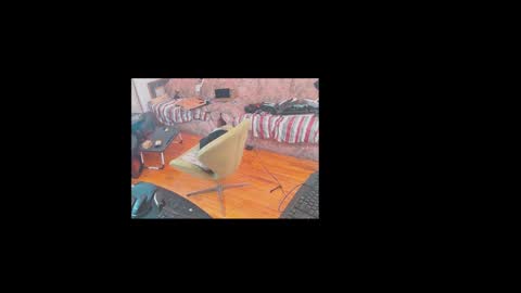 Masked BBC XXL online show from December 19, 2:30 am