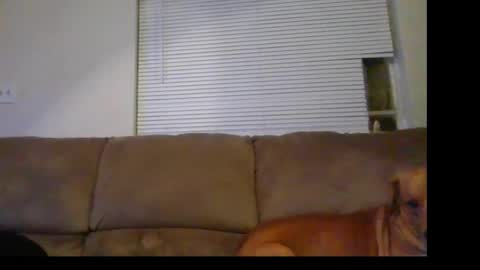 rocker n queen online show from January 1, 1:58 am