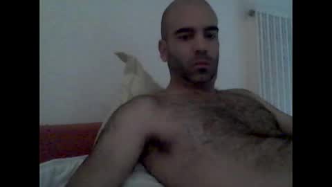bear14250949 online show from October 19, 9:12 am