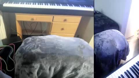 BicepsandFrot online show from February 20, 11:20 am