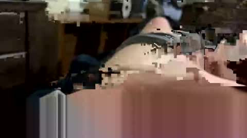bidd281194 online show from February 28, 3:27 am