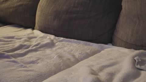 bigbangman420 online show from February 25, 2:45 am