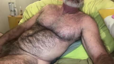 big bush online show from July 11, 8:49 am