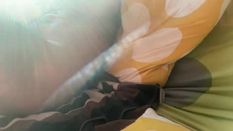 big bush online show from July 3, 5:02 am