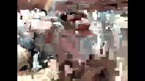 BigDaddykodack online show from September 15, 6:42 pm