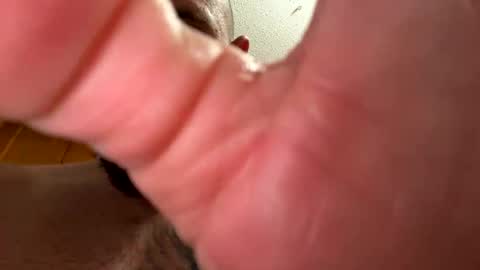 bigdikdaddy007 online show from January 18, 11:32 am
