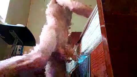 biggdaddyy5 online show from March 7, 4:44 pm